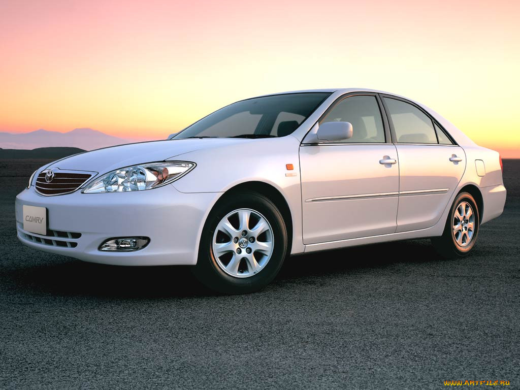 , toyota